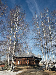 俄罗斯森林林中木屋背景