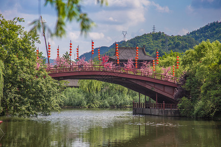 樱花街横店影视城背景