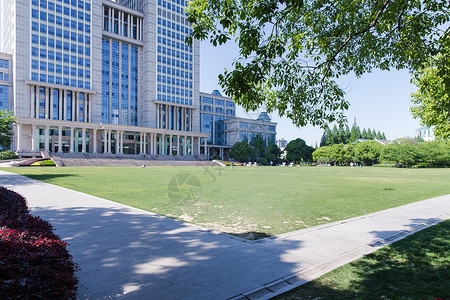 路锥设计素材大学校园大气建筑道路背景