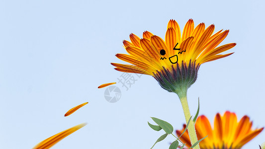 花朵发射子弹背景图片
