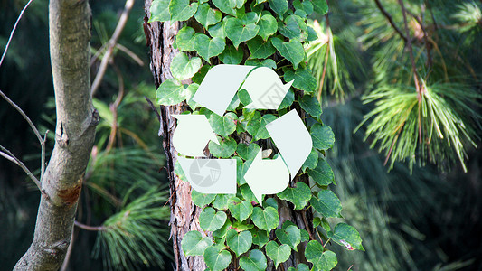 树皮贴图绿色环保设计图片