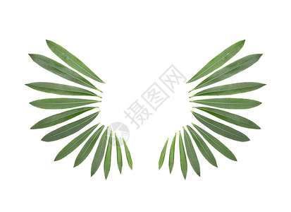 绿色剪纸风边框创意树叶造型背景