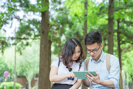 坐着树文静男女大学生坐着看平板电脑背景