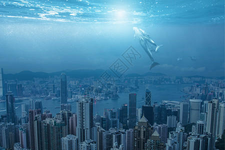 人与海豚玩耍创意环保背景设计图片