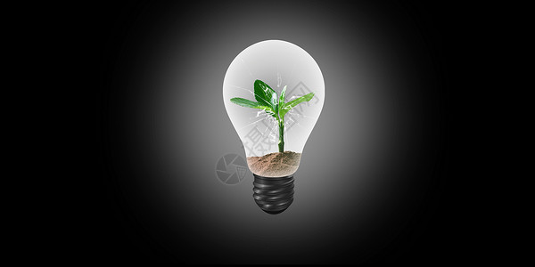 破碎的灯泡长出灯泡的植物设计图片