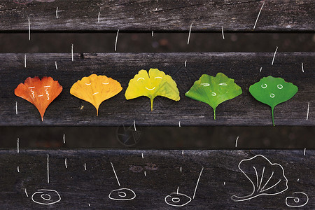 银杏公园树叶遇到下雨时的表情设计图片