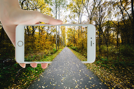 创意手拿树叶穿过手机的小路设计图片