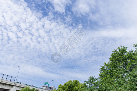 方形树标指示牌城市风景蓝天白云背景素材背景