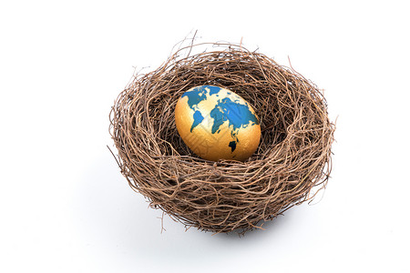 生态鸡蛋巢中地球设计图片
