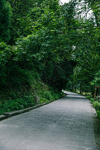 动小素材鞠躬景区内清新公路风景背景