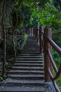 景区内绿植登高山路高清图片