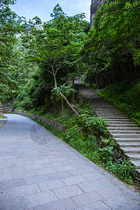 动小素材鞠躬景区内清新自然山路和公路背景