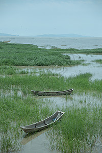 绿植滩涂风景图片