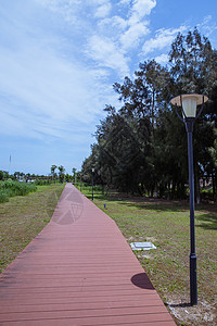 蓝天白云公园健身散步路风景背景图片