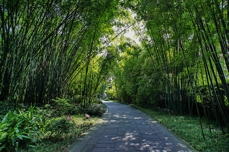 成都背景图片