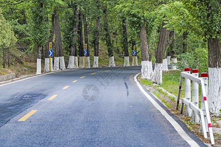 林间公路双车道公路高清图片