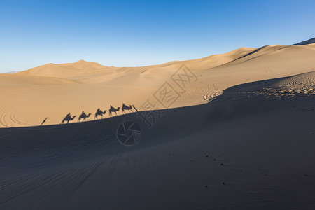 河西走廊风景沙漠驼队背景