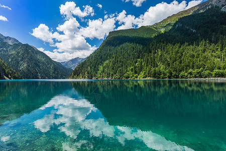 一个稳定森林九寨沟长海背景