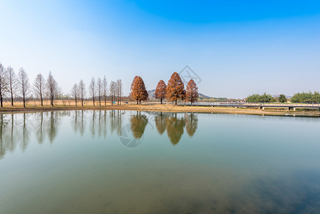 上海辰山植物园背景图片