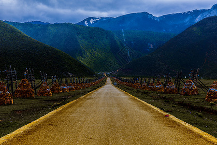 金光大道背景