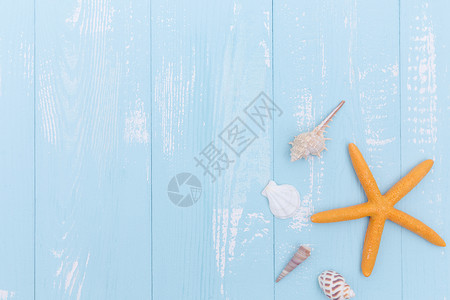 夏日蓝色木板海星海螺贝壳素材背景图片