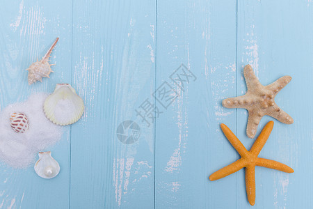 夏日沙滩珍珠贝壳海星素材高清图片