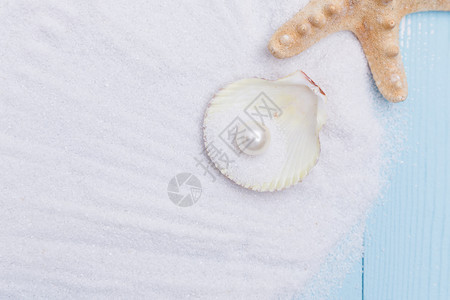 蓝色海贝夏日沙滩珍珠贝壳海星素材背景