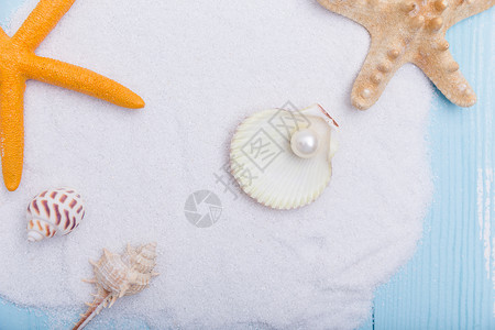 夏日沙滩珍珠贝壳海星素材背景图片