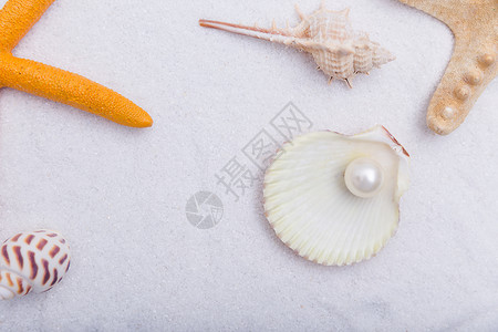 贝壳女孩儿夏日沙滩珍珠贝壳海星素材背景