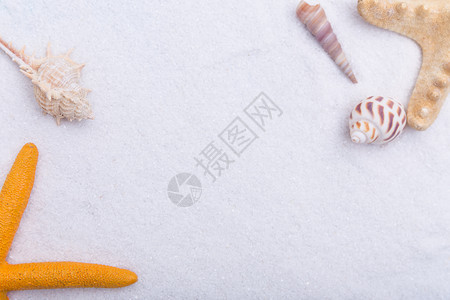 夏日沙滩海星贝壳素材背景图片
