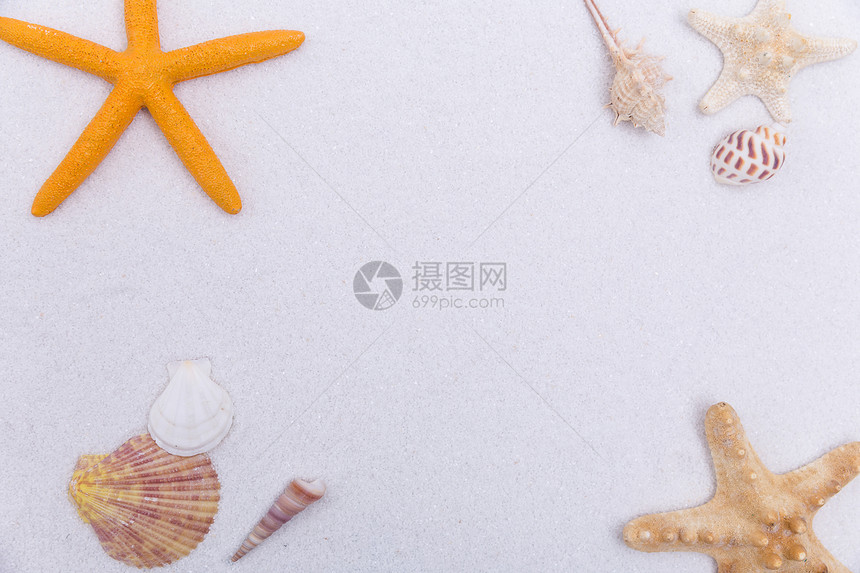 夏日海滩白沙海螺海星素材图片