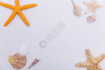 夏日海滩白沙海螺海星素材背景图片