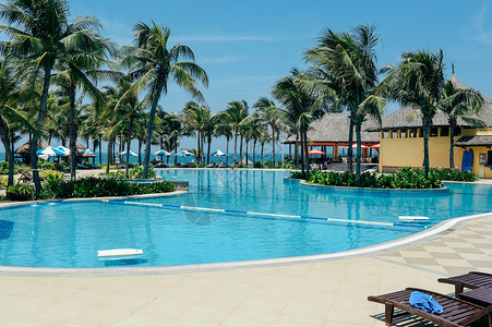 沙滩椰树标签海边泳池背景
