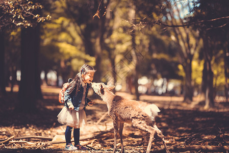 动物封面儿童与小鹿背景