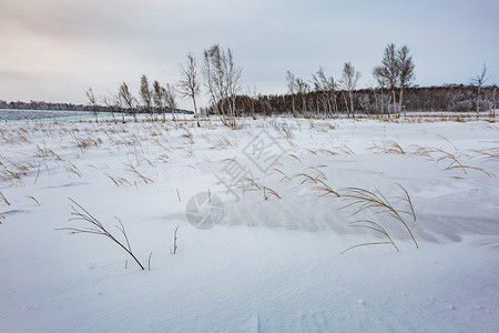 雪地荒原背景图片