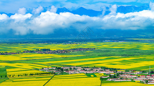 绽放光油菜花田中的村庄背景