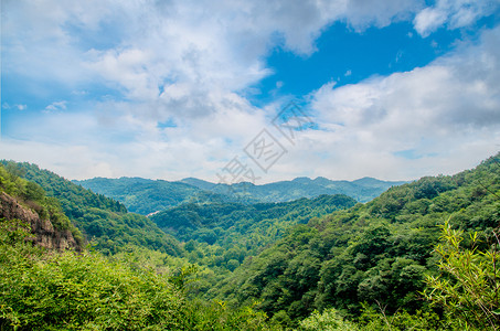 大树木大别山-群山之间背景