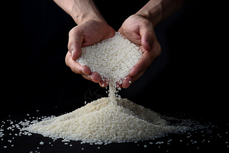 捧大米生产浪费高清图片