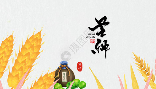 小清新芒种节气插画芒种设计图片