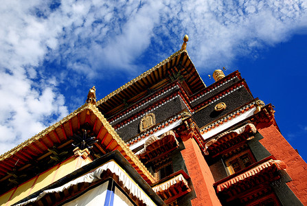 美丽西藏美丽端庄的西藏蓝背景