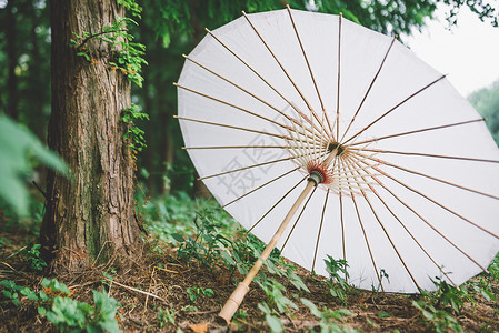 雨天纸伞古风素材叶子高清图片