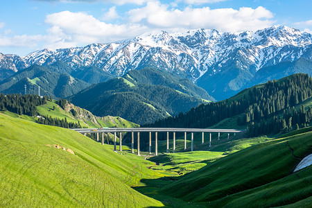 山桥夏季的新疆风光背景