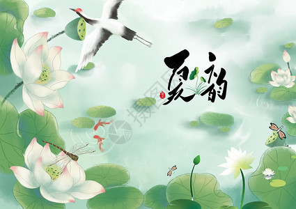 莲花插画夏至设计图片