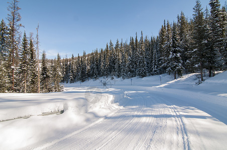 喀纳斯冬季雪路背景图片