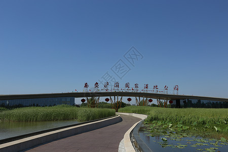 浐灞湿地西安浐灞国家湿地公园背景