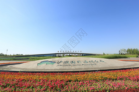 西安浐灞国家湿地公园背景图片