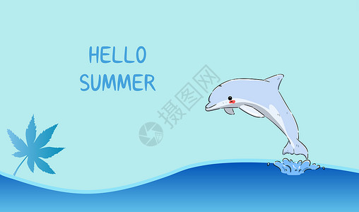 蓝白色海豚夏季海豚夏季 海边设计图片