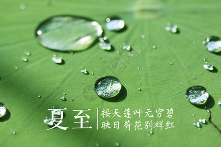 暑气夏至设计图片