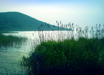 苏州西山淡水湖背景