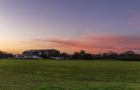 绿色树丛基督城夕阳背景